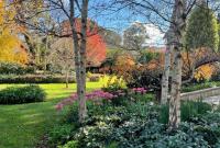 Hollydale Burradoo Southern Highlands - B&B Burradoo