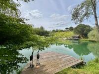 La cabane sur le lac aux Temps des Sources - B&B