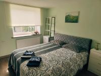Habitación Estándar - 1 cama grande