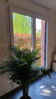 Le Loft de Genas - La Cabane - B&B