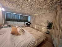 Splendide appartement troglodyte à 5 min du centre - B&B Poitiers
