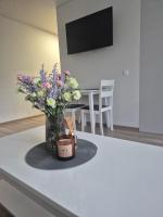 Kaunas City Apartment - Bed and Breakfast