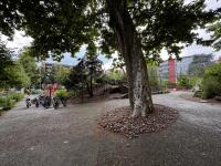 Lakeside Lugano - B&B Lugano