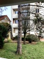 Parisian Apartment - Paris 10 min - RER A - 3P - Chambres d’hôtes Saint-Maur-des-Fossés