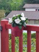 Location de charme T3 au 2e étage et dernier étage - B&B Cambo-les-Bains