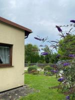 Borkówka - B&B