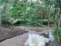 Suanthara kokut - Bed and Breakfast Ko Kood