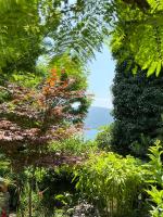 Bamboo apartment 1 Herceg Novi - B&B