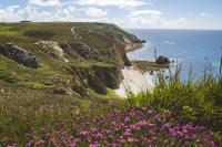 La Maison des Falaises - Ferienwohnung Crozon