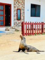 Suite Frente al Mar - B&B Puerto Villamil