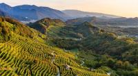 Appartamento al Sole - B&B Paderno del Grappa