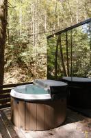 Modern Mirror Home w/ Hot-tub | “Glass House” #3 - Chambres d’hôtes High Falls