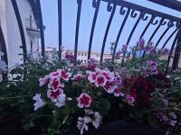 Deluxe One-Bedroom Apartment