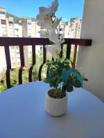 Riverstone Home - B&B Mostar