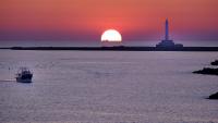 AMA Apartment Stella - Bed and Breakfast Gallipoli