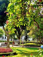 Beautiful Studio-A paradise of food, shopping and beauty care services - B&B Ho Chi Minh