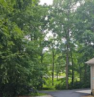 Oakwood Oasis-Studio w Laundry & Kitchen - B&B Decatur