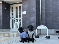 笑いあふれる乾杯を 小さなホテル ミセス マルベリー - Chambres d’hôtes Utazu