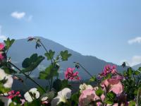 Dorfjuwel Alpbachtal - Bed and Breakfast Reith im Alpbachtal