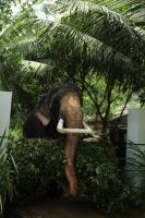 Lake Front Yala Safari - B&B Kataragama