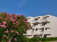Adoya Plage Beach Studio Sea and port view Free parking WiFi Pool, Tennis - Chambres d’hôtes Le Grau-du-Roi