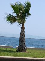 Casa Cristoforo Colombo - Ferienwohnung Sant'Antioco