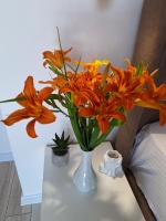 apartman stan Savina - B&B Castelnuovo di Cattaro