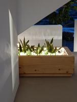 Plakourakia - B&B Finikas