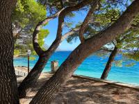 Beachfront apartments in Villa Ruza at Punta Rata beach - B&B Brela