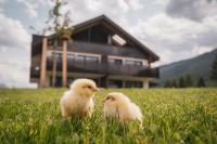 Sottla - your mountain home - Ferienwohnung Olang