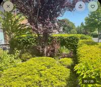 Magic of Mullingar - B&B Mullingar