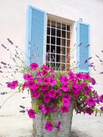 La Casa del Bricco - B&B Castellero