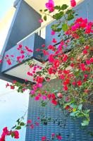 Jan House - B&B Braga