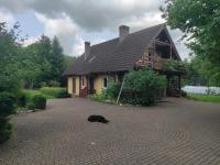 Biały Dzik Uszyszek - B&B Stawno