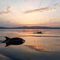 Devon Belltents - South Milton - B&B Hope Cove