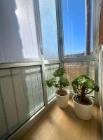 Appartamento raffinato vicino alla spiaggia - B&B Savona