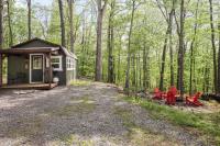 Tiny Cabin w Fire Pit Game Room and Dog Friendly - B&B Great Cacapon