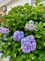 Vila Eqerem Dauti Ksamil - B&B Ksamil