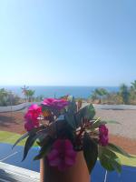 Vivaldi Summer - B&B Icod de los Vinos