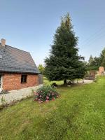 Domek na wynajem Dziki Spokój - B&B