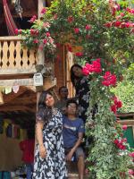 Pods stay - B&B Manali