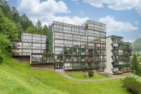 Le Chitelet 506 - Au pied des pistes - B&B La Bresse