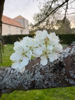 Logis Soandre - Ferienwohnung Soindres