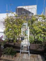 TorreParadiso Holidays - B&B Polignano a Mare