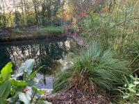 La villa du Moulin - Chambres d’hôtes Aujac