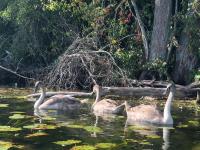 Gospodarstwo Agroturystyczne w Maradkach u Justyny - B&B Maradki