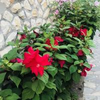 NOEL LELLE apartman - B&B Balatonlelle