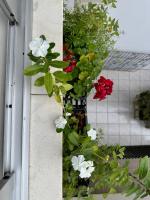 Apartamento no centro - Chambres d’hôtes Pomerode