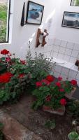 Standard Double Room with Shared Bathroom