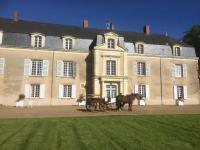 B&B Jallais - Chateau De Piedouault - Bed and Breakfast Jallais